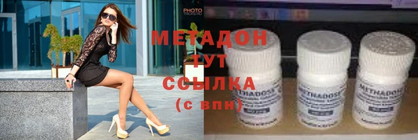 прущие грибы Арсеньев