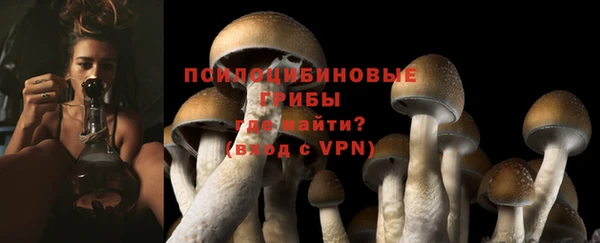 прущие грибы Арсеньев