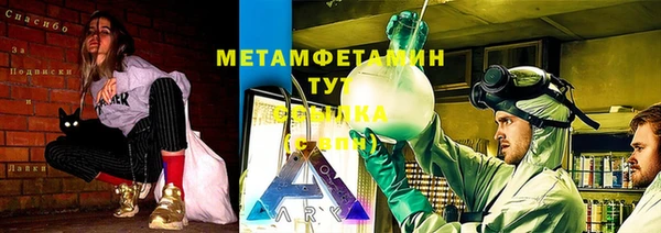 прущие грибы Арсеньев
